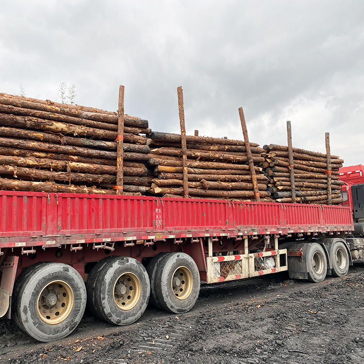 河道木樁報價:河道(6米)松木木樁多少錢一米,原木樁多少錢？