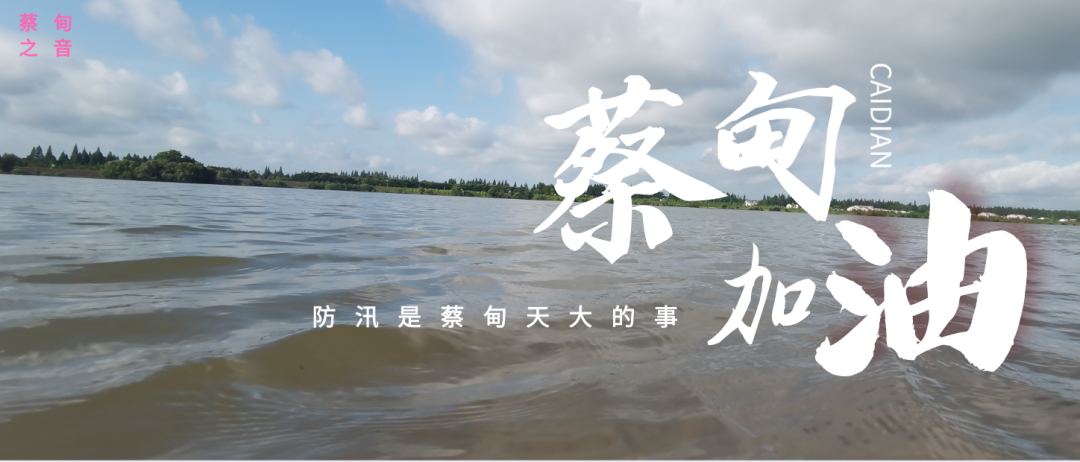 蔡甸區(qū)啟動防汛ⅰ級應(yīng)急響應(yīng)，做好鋪土釘防汛木樁工作