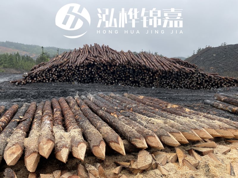 6米長(zhǎng)松木樁有哪些作用，多少錢一根？