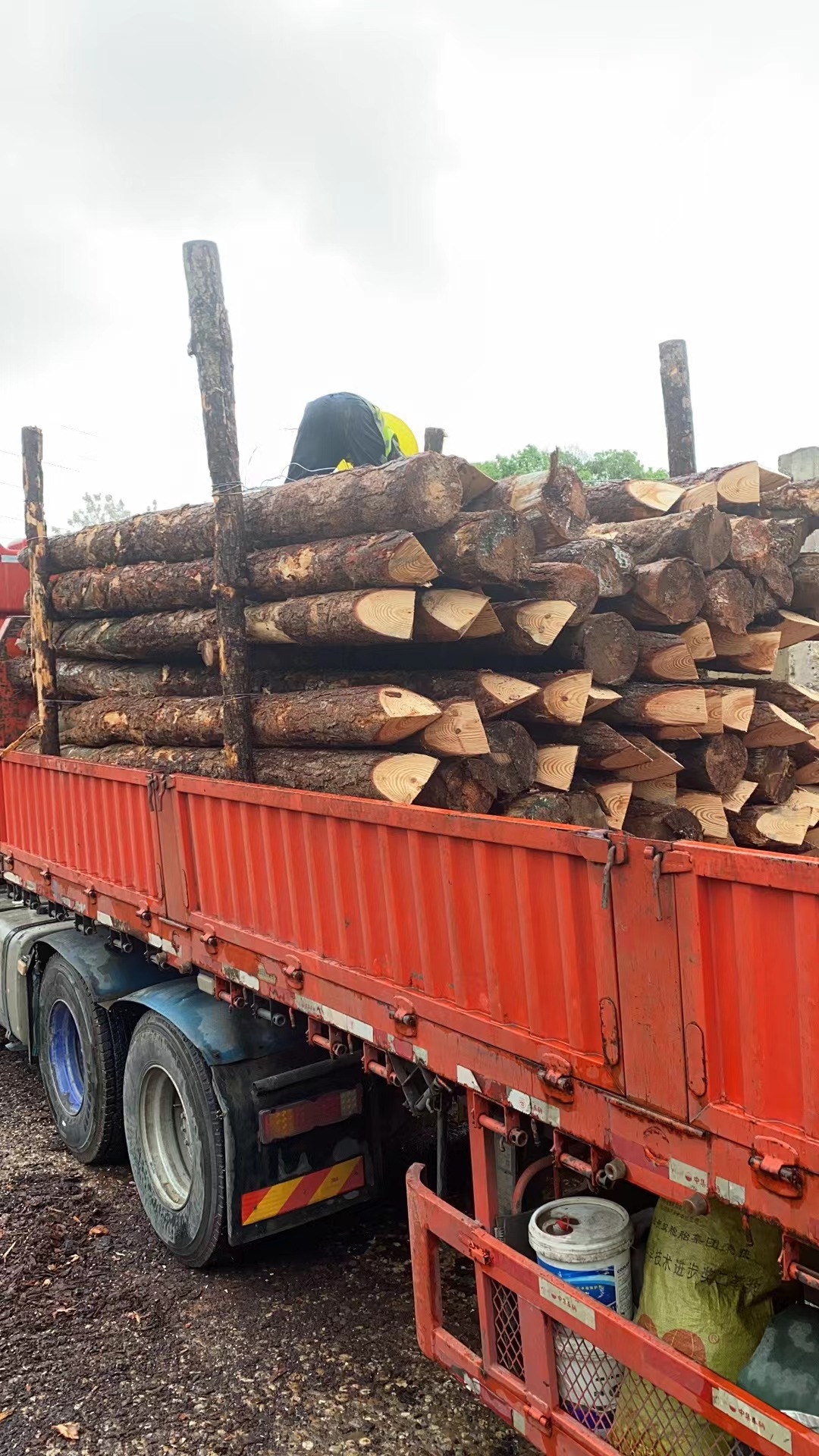 松木樁新手必備！快速掌握規(guī)范和要求