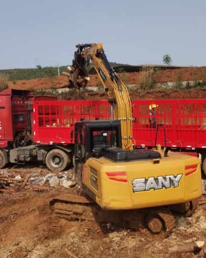 松木原木、松木條，漲勢如虹，現(xiàn)在搶購最劃算(附松木原木供應(yīng)廠家介紹)