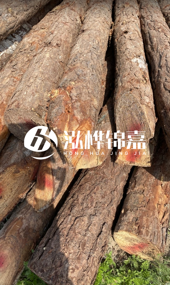 <strong>松木樁和杉木樁的用途區(qū)別？哪個(gè)更適合打樁用？</strong>