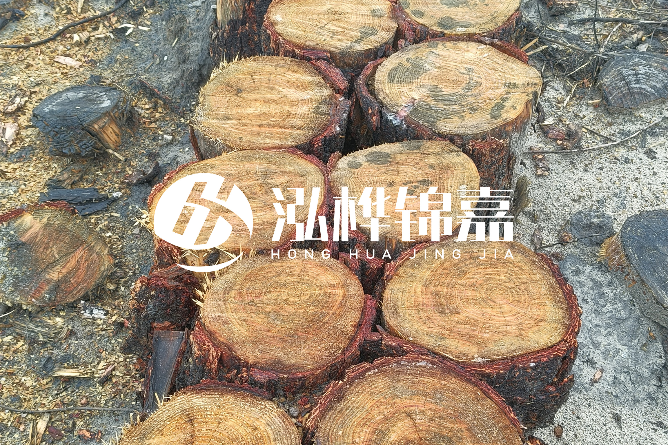 浙江臺(tái)州有清淤的公司嗎？浙江臺(tái)州有清淤施工隊(duì)嗎？