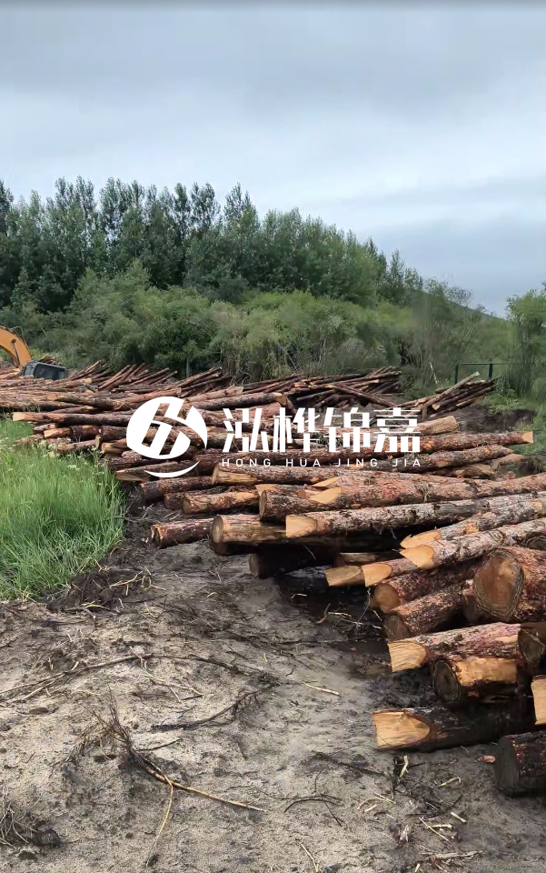 甘肅河道清淤工程公司-為什么要進行河道清淤？