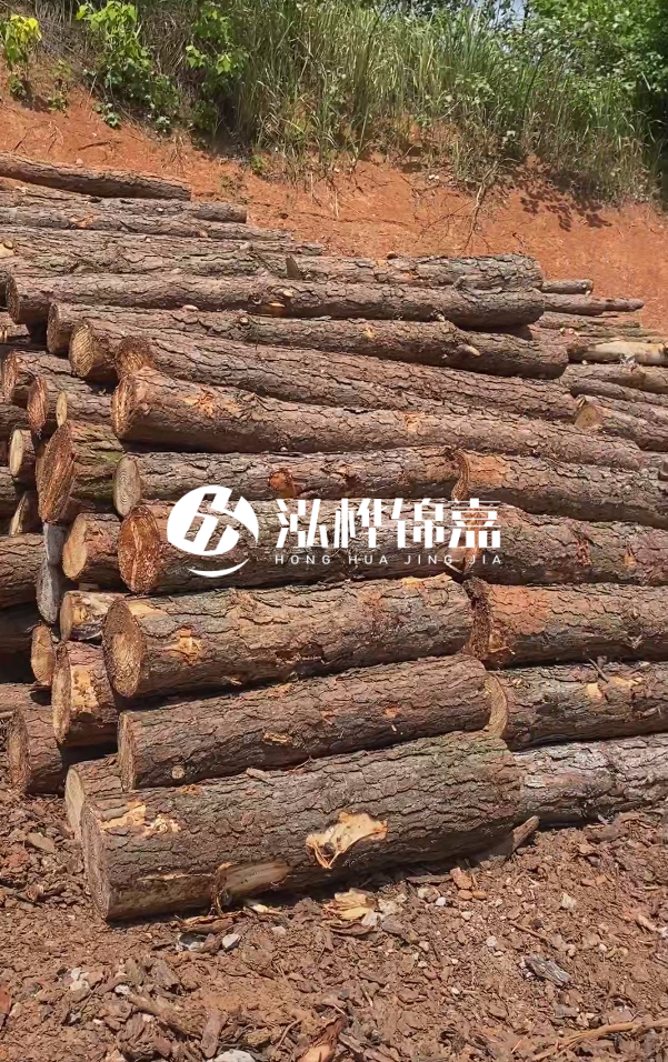 七臺(tái)河河道清淤專業(yè)施工-河道清淤的淤泥多久能干？