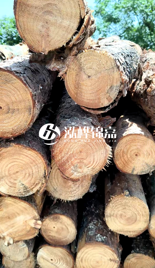 周口挖機(jī)打木樁專業(yè)施工-杉木樁施工打樁怎么打？