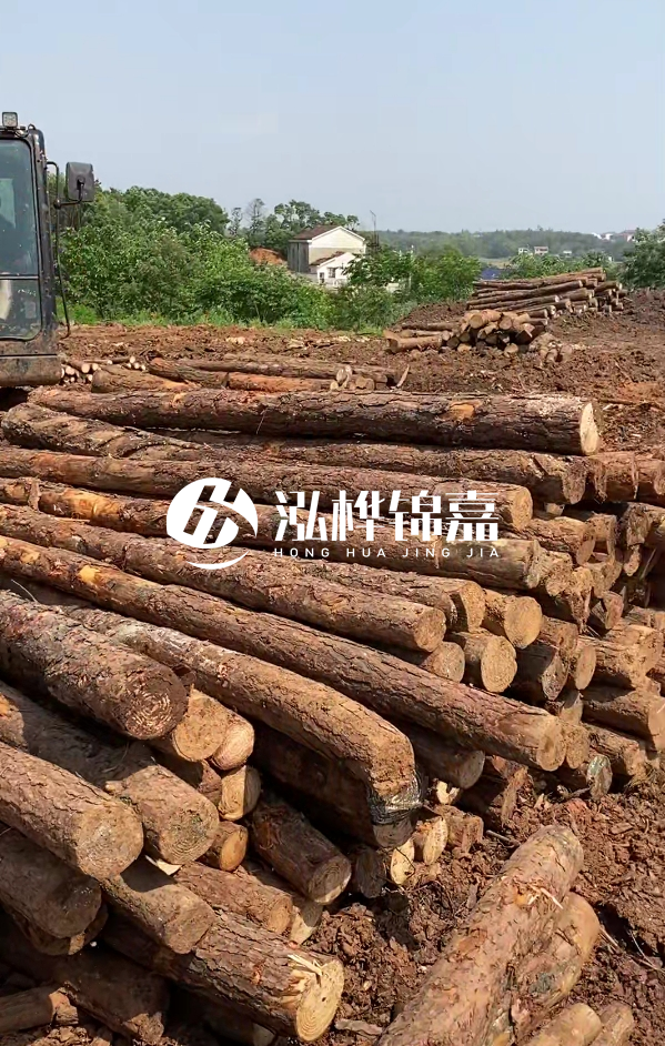 荊州挖機(jī)打木樁專業(yè)施工-河道打樁木被水浸泡后會(huì)不會(huì)變形嚴(yán)重？