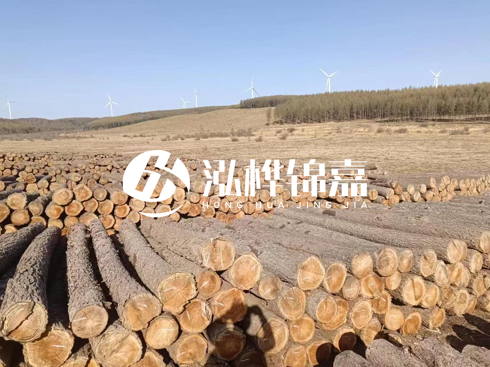 咸寧松木樁源頭廠家-哪里能買到質量好的松木樁打樁木？