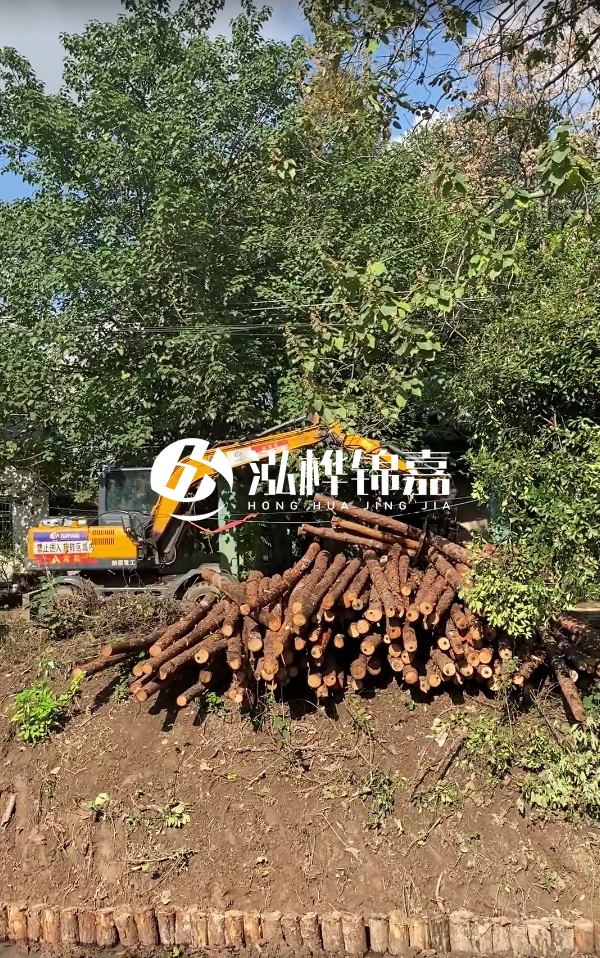 隨州松木樁源頭廠家-杉木樁打樁木的價格比松木樁貴嗎？