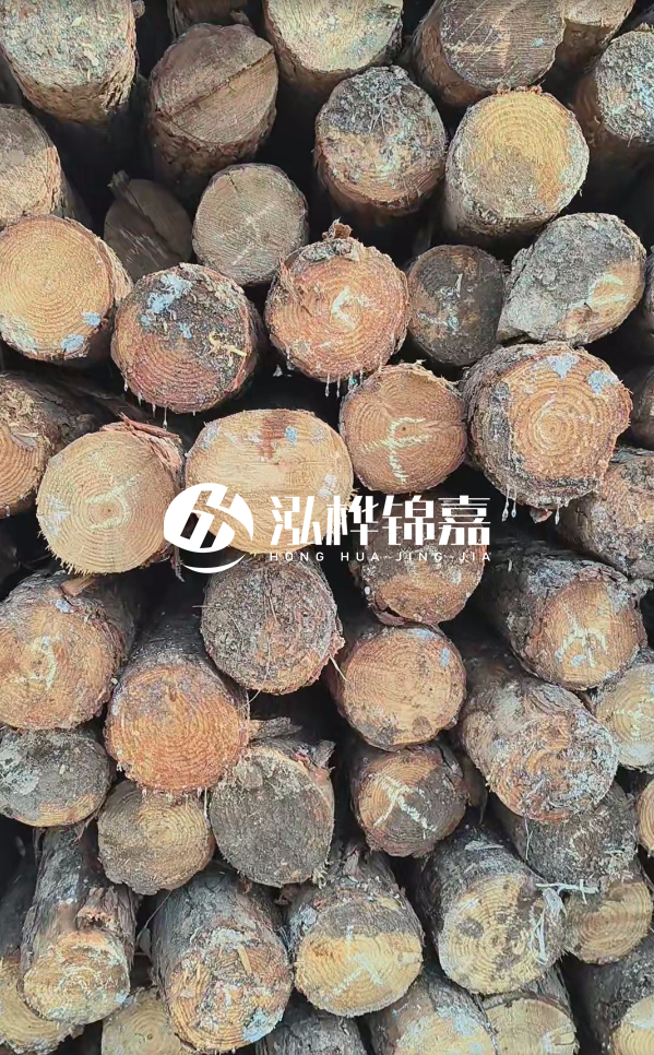 邵陽(yáng)松木樁源頭廠家-松木樁護(hù)岸適合哪些地理環(huán)境？