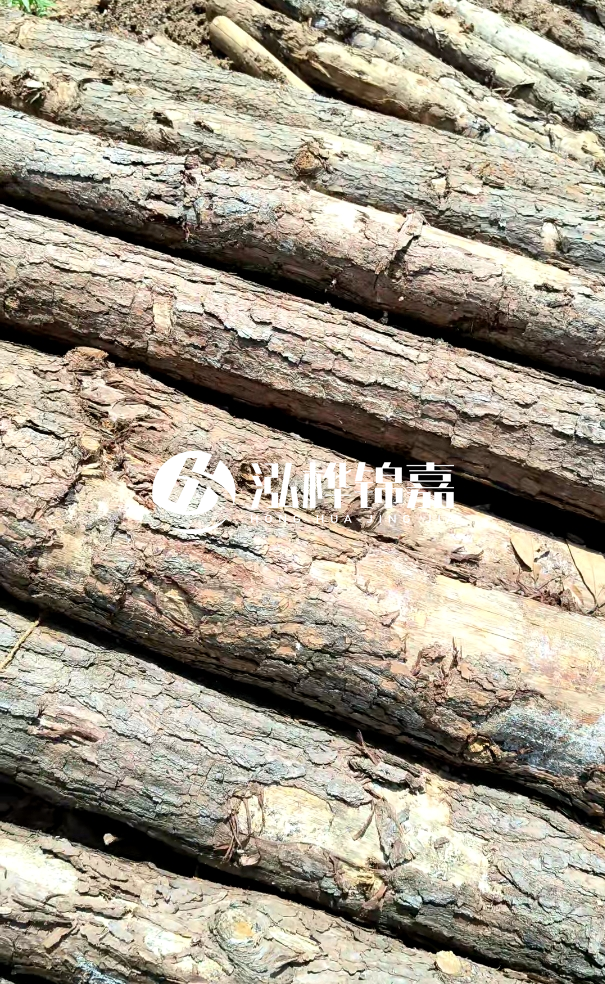 佛山松木樁源頭廠家-松木樁和杉木樁在河道治理中哪個(gè)更耐用？