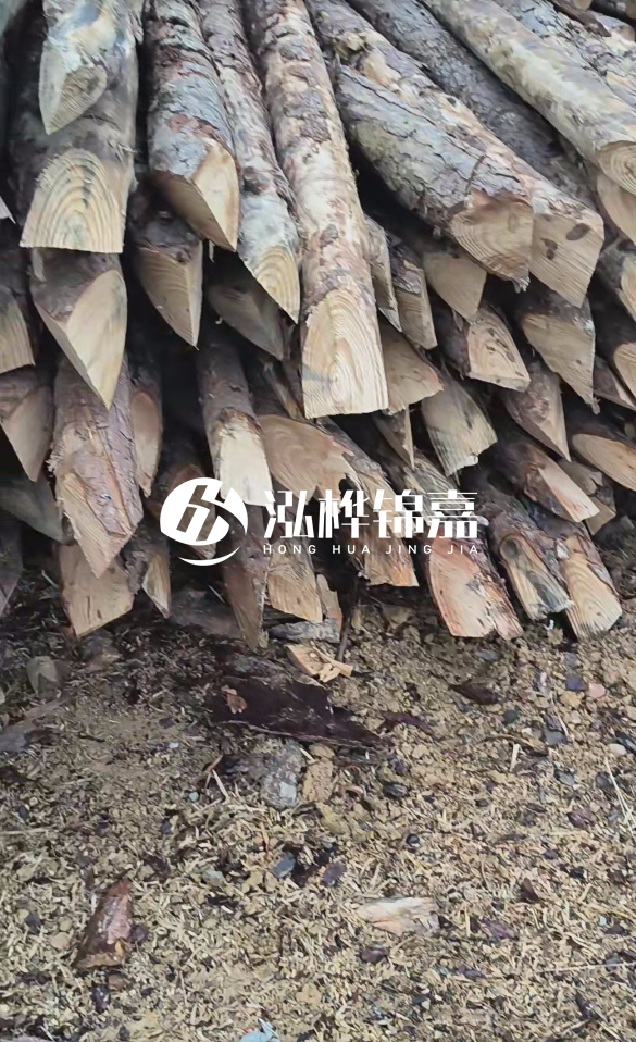 河源松木樁源頭廠家-打樁木的品牌哪家好？