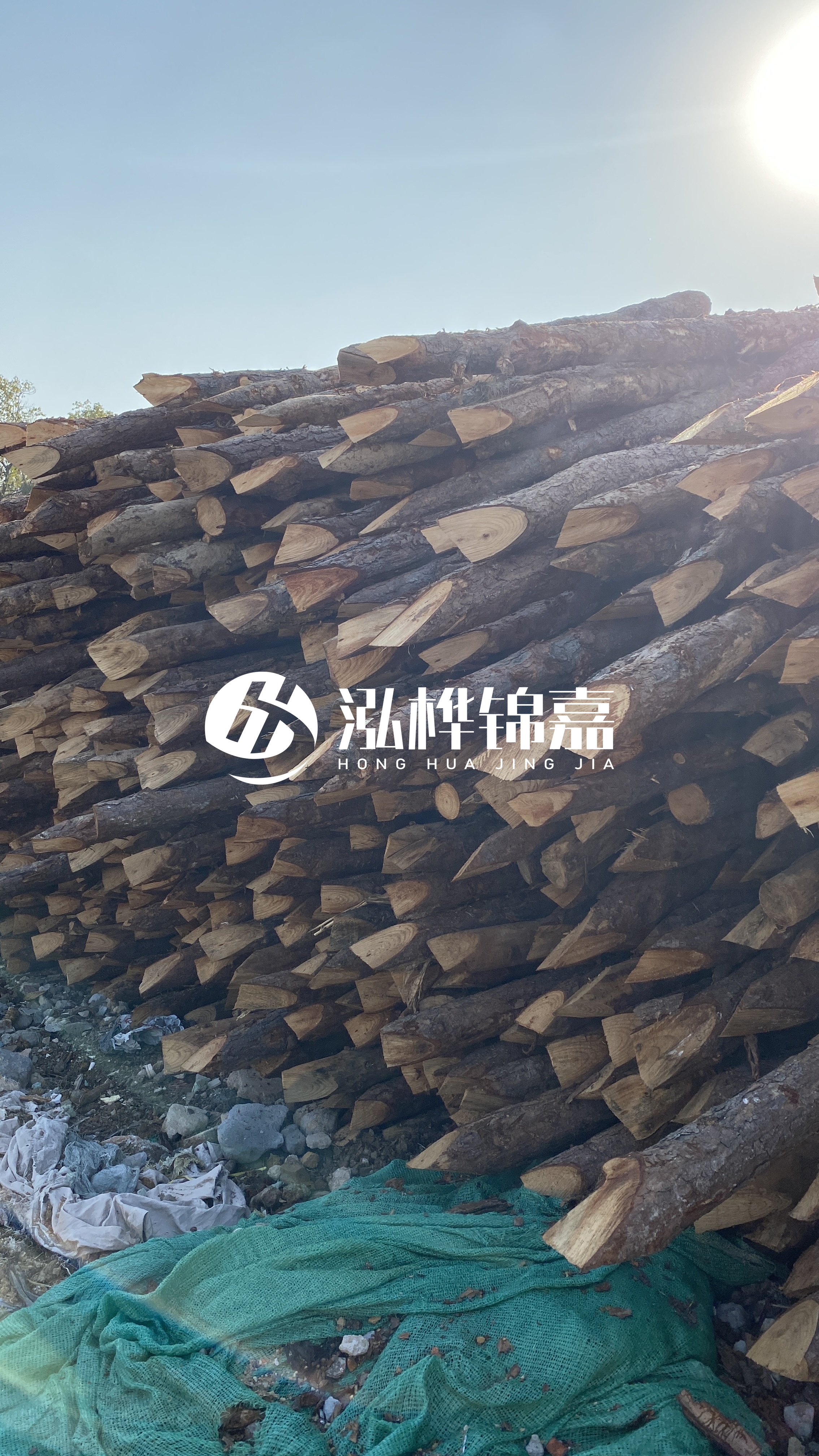 巴中松木樁源頭廠家-原木打樁木是否適合所有地質(zhì)條件？