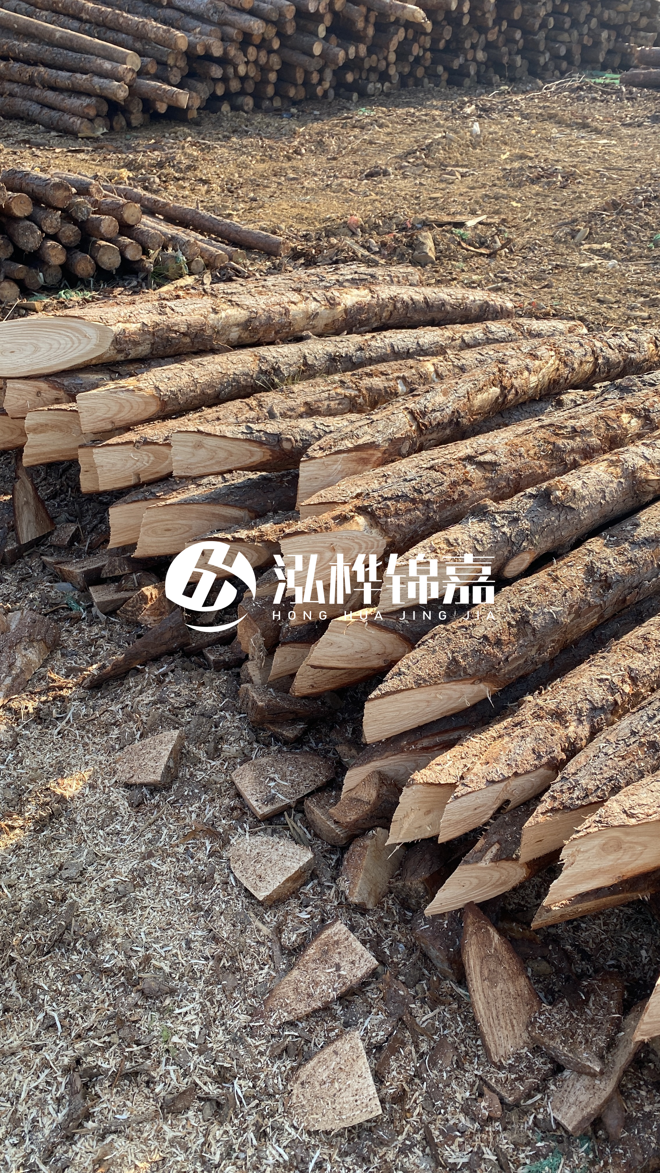 昭通松木樁源頭廠家-打樁木樁有什么用？