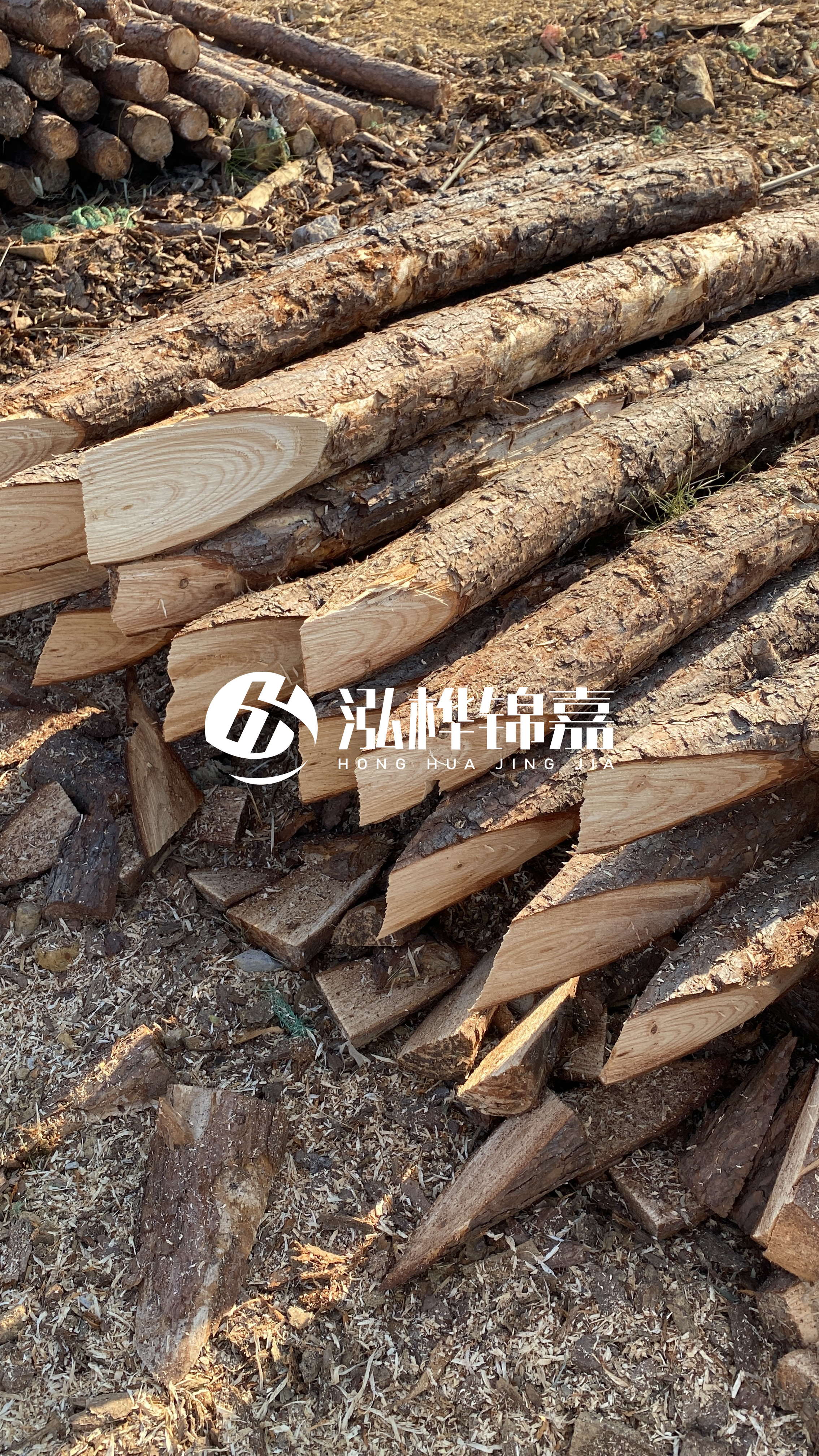 渭南松木樁批發(fā)源頭廠家-杉木樁4米小頭12公分大頭是多少？