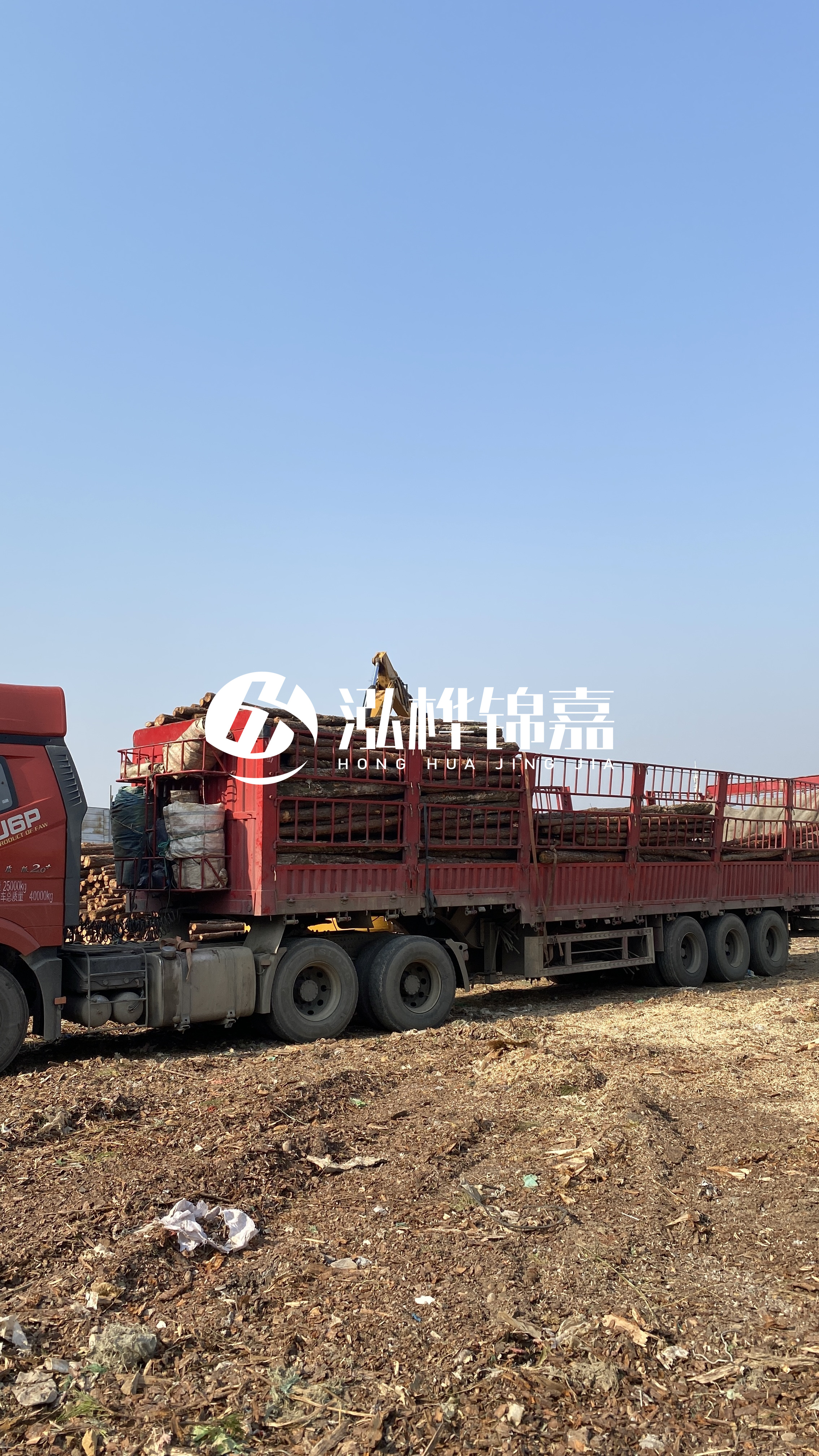 蘭州松木樁批發(fā)源頭廠家-落葉松與濕地松的主要區(qū)別？