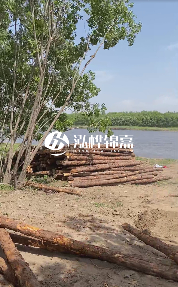 慶陽挖機打木樁專業(yè)施工-松木打樁過程中如何避免木材開裂？