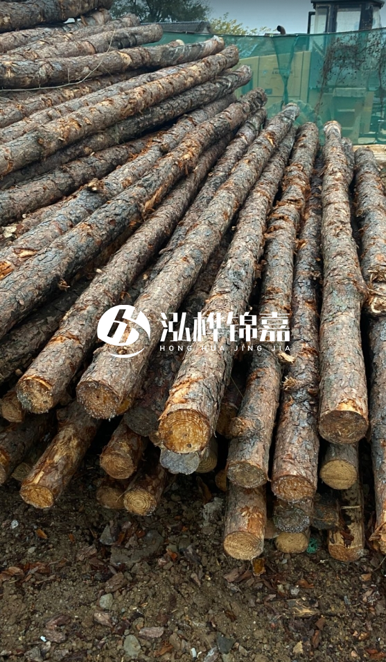 徐州松木樁批發(fā)源頭廠家-松木樁需要做防腐嗎？