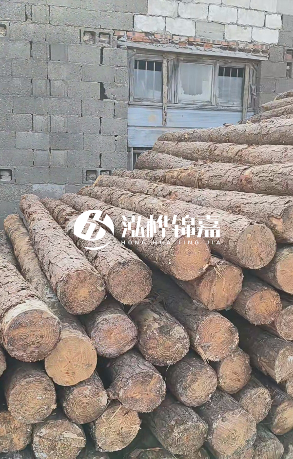 2025最新松木樁價格揭秘：松木樁一方到底多少錢？