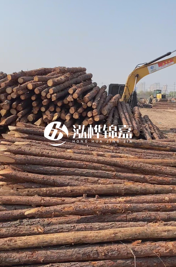 油松用于打樁木到底好不好？讓專業(yè)打樁隊(duì)告訴你！