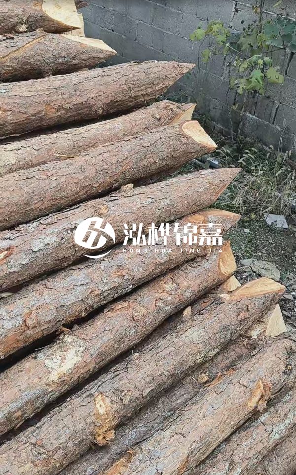 松木樁哪里能大量供應(yīng)？4米20公分松木樁價(jià)格是多少？