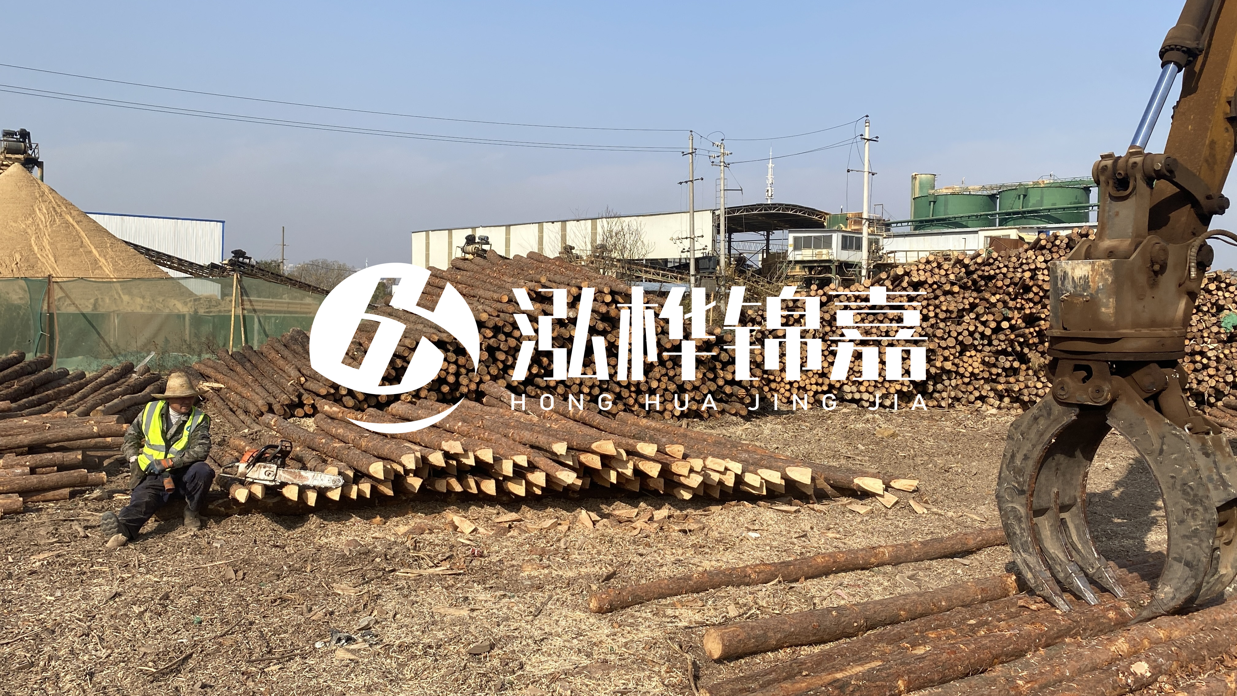 河道木材松木樁怎么選？松木樁源頭廠家告訴你！