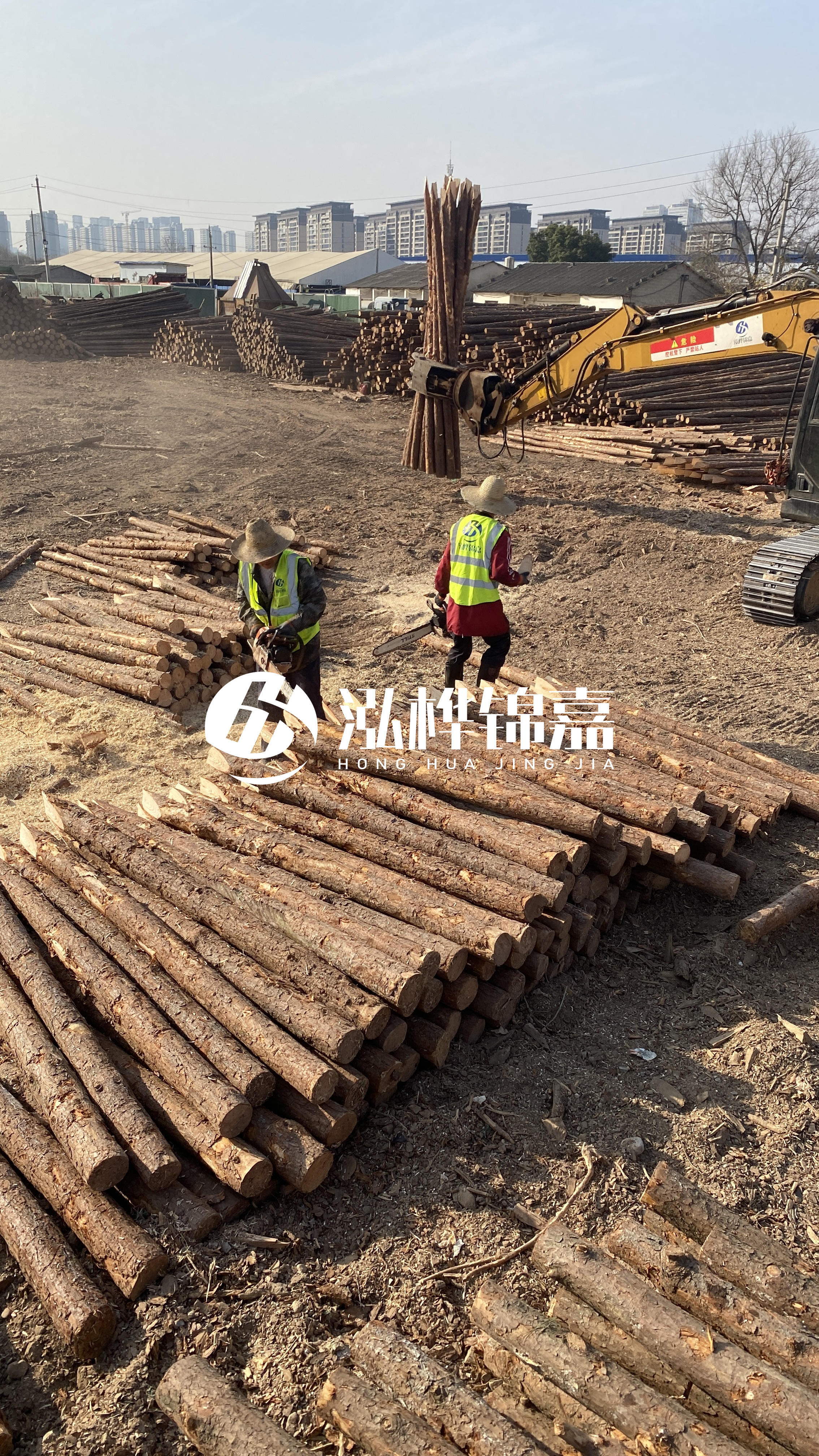 松木樁梢徑怎么測量？實(shí)用教程！一文教會(huì)你！