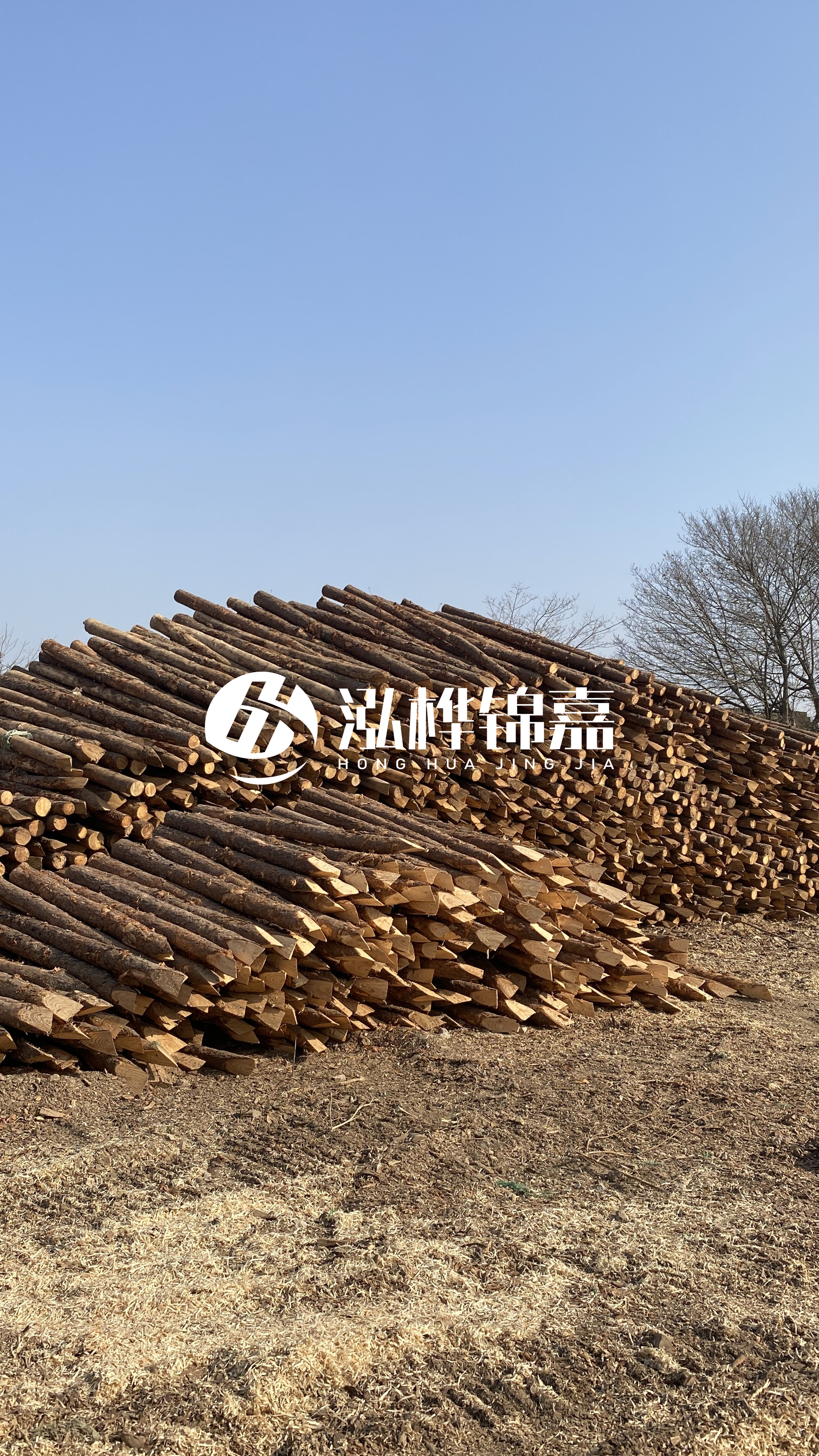 松木樁頭徑比尾徑大多少？計(jì)算方式是什么？