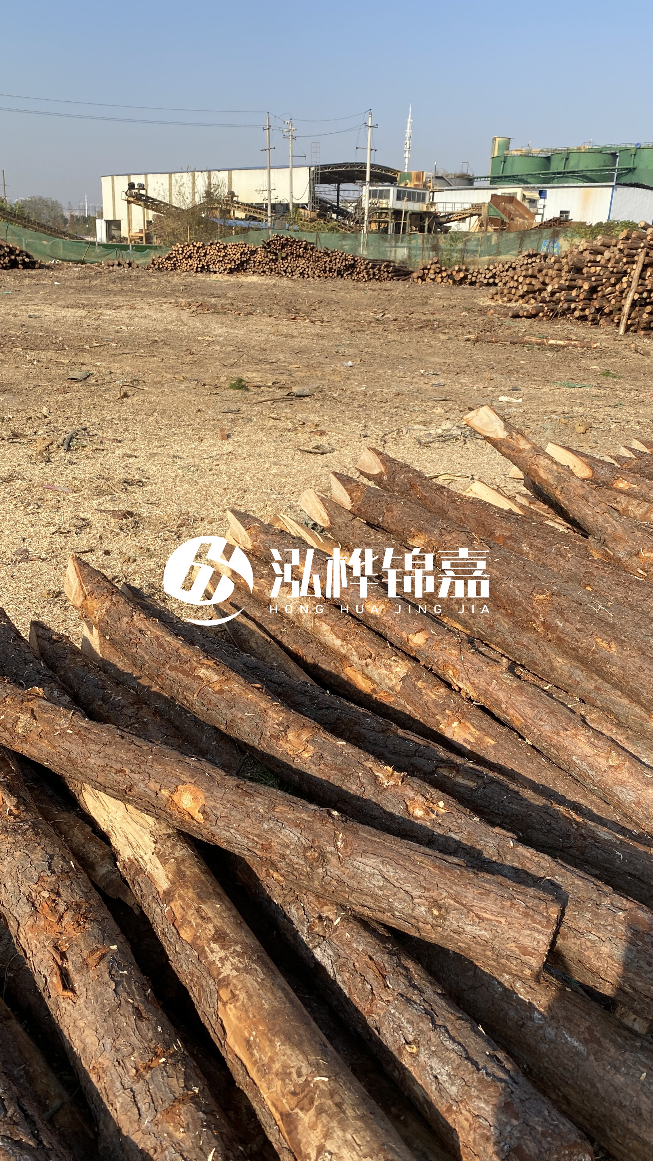 松木樁施工要找有資質(zhì)的嗎？松木樁施工背后門道多，看完就懂了！