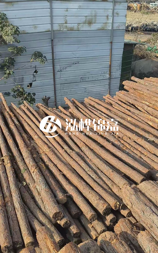 4米松木樁一根有多重？看完你就心中有數(shù)啦！