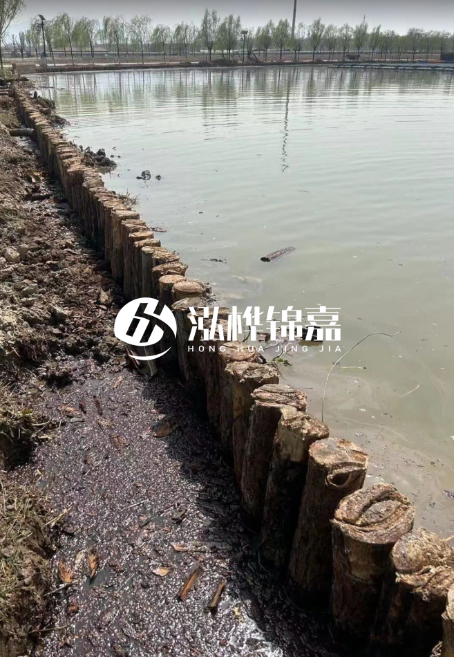 松木樁為什么要一根一根挨著打？秘密在這里！看完恍然大悟！