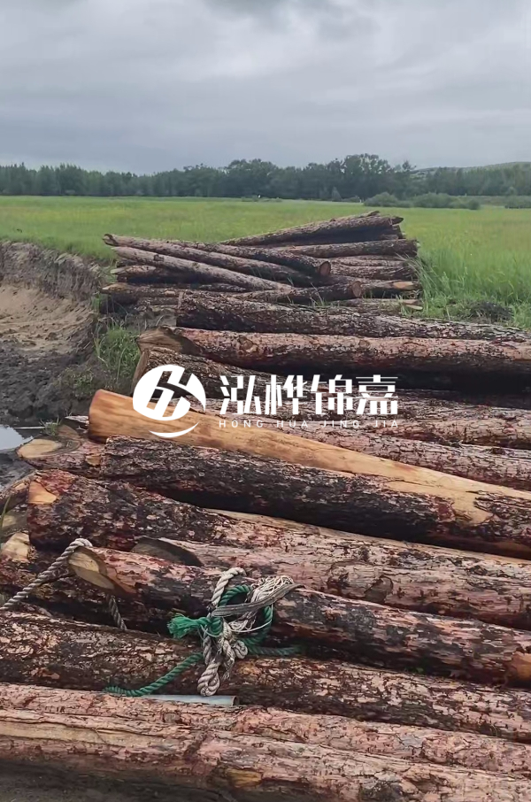 打樁木樁的選購(gòu)標(biāo)準(zhǔn)是什么？材質(zhì)、尺寸與強(qiáng)度，哪些標(biāo)準(zhǔn)不能忽視？