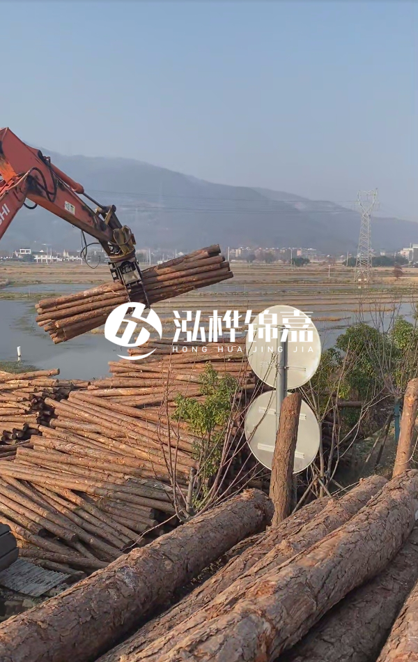 松木樁是否需要削皮呢？松木樁為什么不會(huì)爛掉呢？