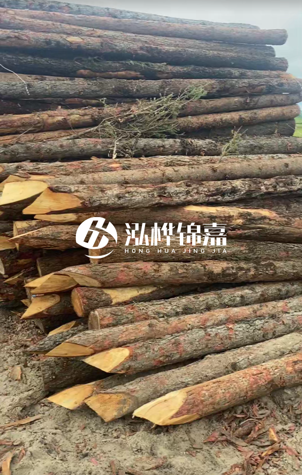 松木樁4米長尾徑14厘米價格是多少？一立方米有多少根？