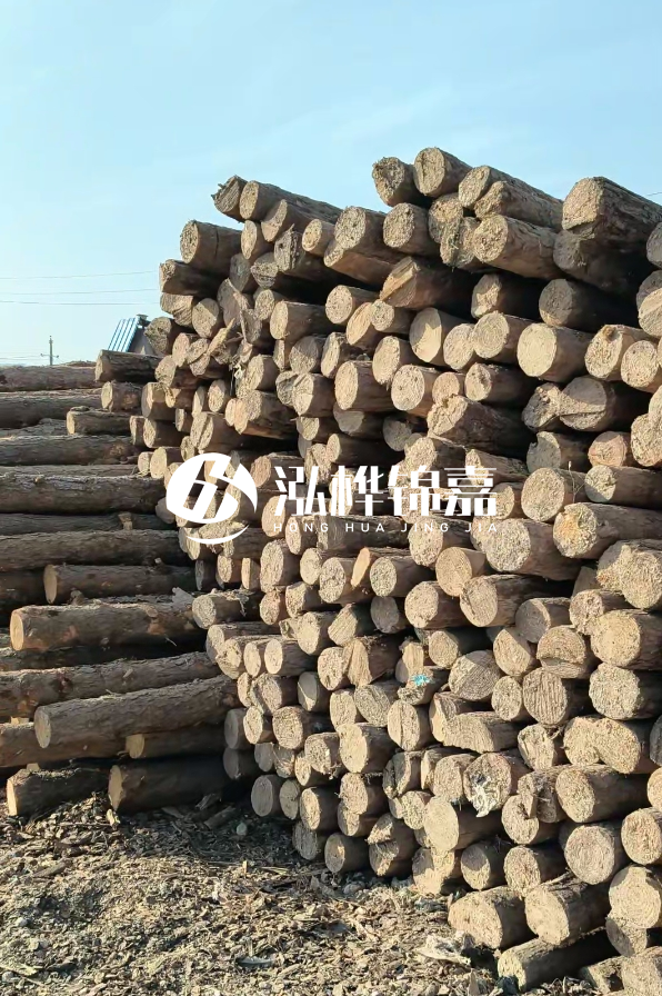 國(guó)內(nèi)哪里的松木樁便宜又好？五大高性價(jià)比產(chǎn)地推薦