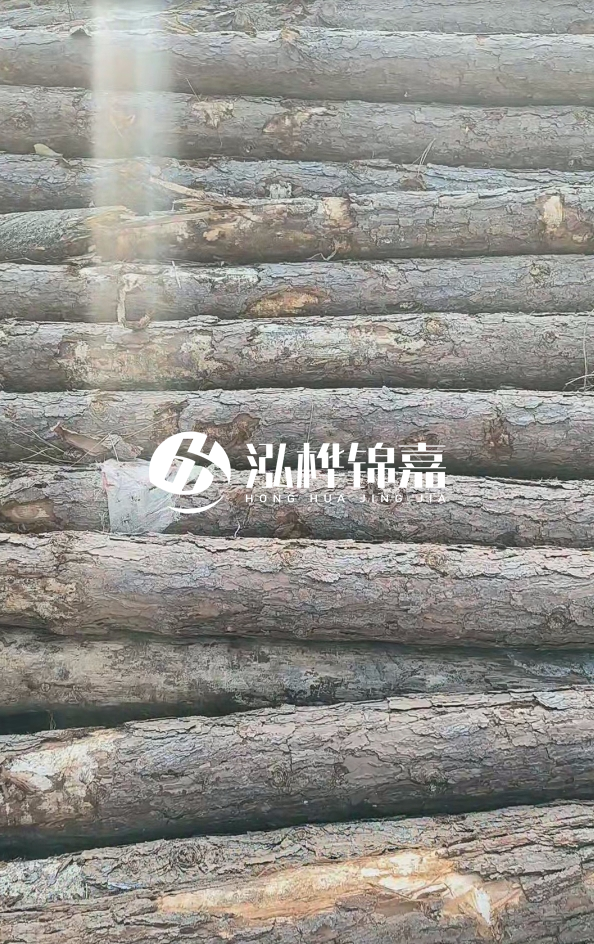 松木樁5米100mm一根多少錢-5米140mm多少錢？