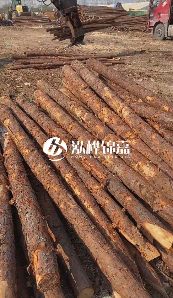 7米松木樁8一12公分價(jià)格？直徑15公分松木樁多少錢？