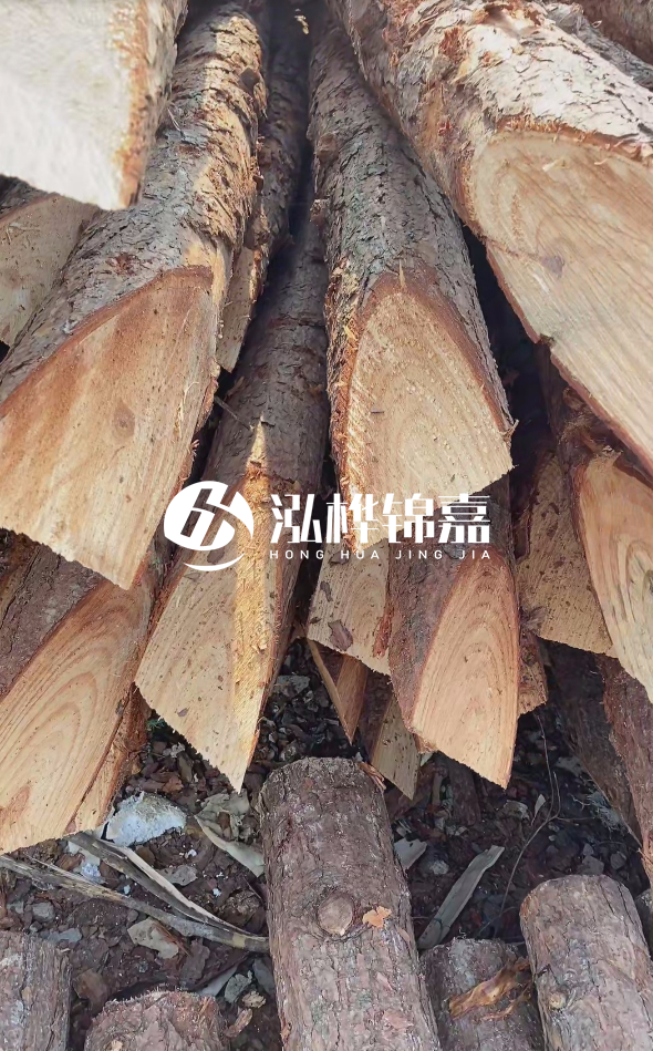 3米杉木樁梢頭12大頭多少？賣多少錢一根？