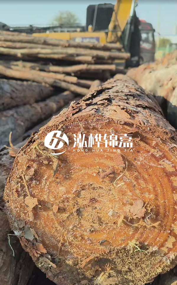 杉木樁價(jià)格多少錢一方-3米直徑14公分杉木樁價(jià)格？