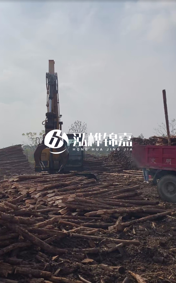 6米打樁木多少錢一根-6米10-15公分價(jià)格是多少？