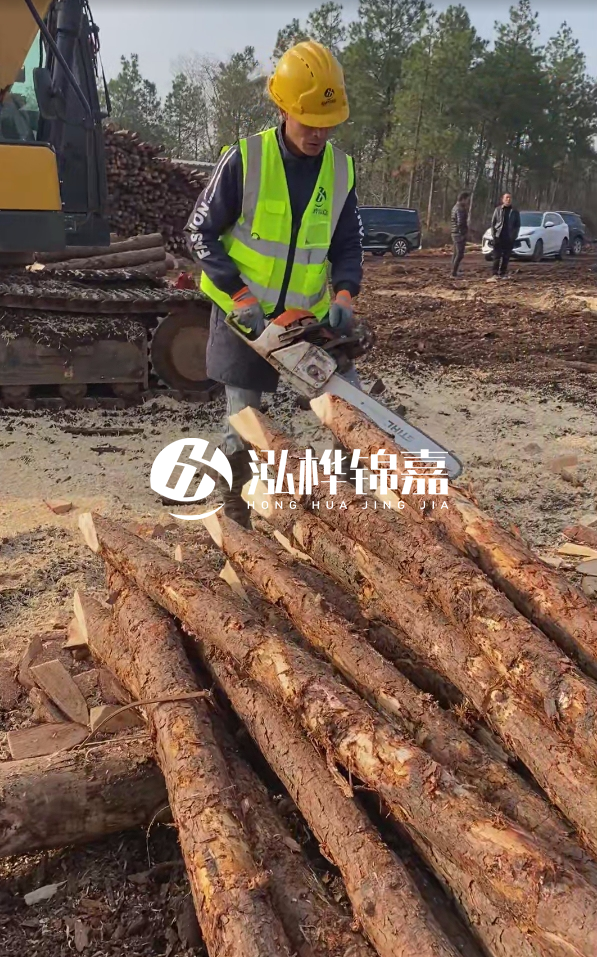 松木樁樁長1.5米稍徑12多少錢一根？樁長1.5米稍徑12大頭多少？