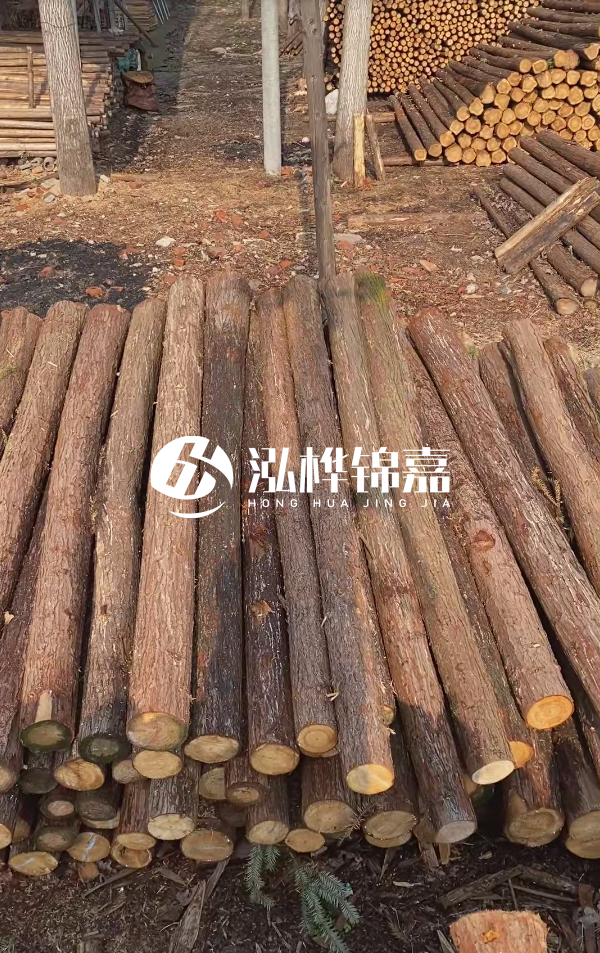 河道護坡選松木樁還是杉木樁？河道木樁一根多少錢？