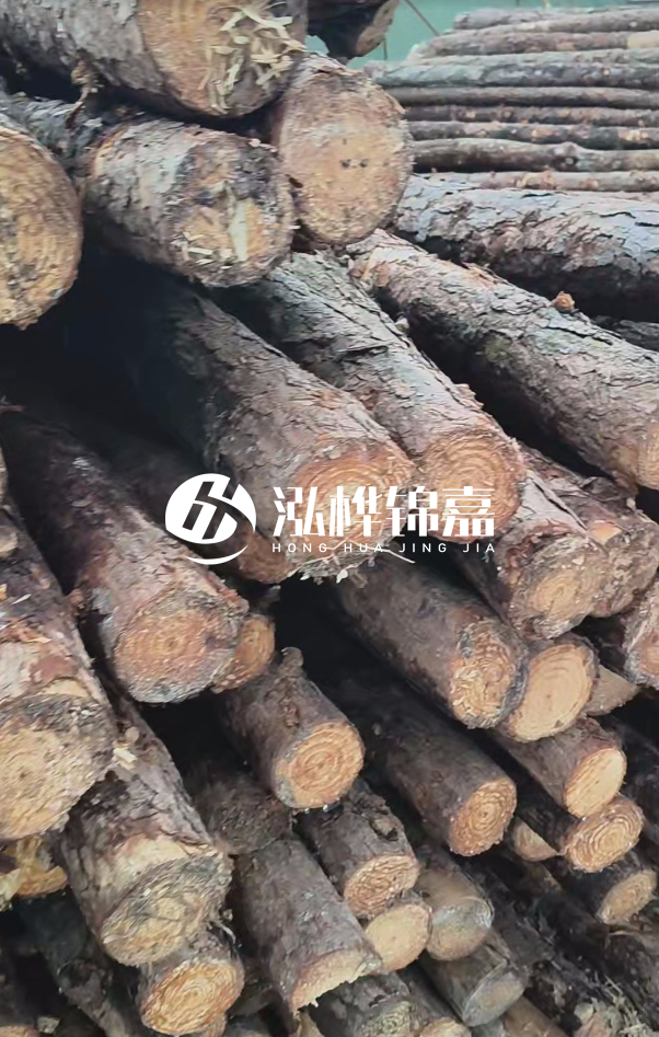 5米12公分防汛木樁多少錢-直徑15公分價格多少？