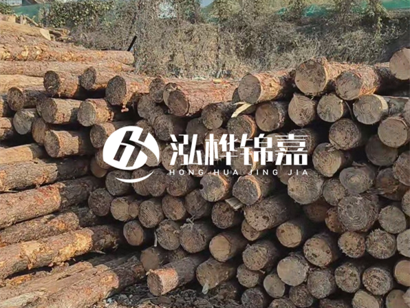 落葉松木材的主要產(chǎn)地在哪里？為什么比其他松木更耐腐蝕？