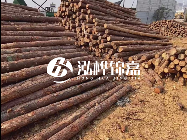 河道木樁施工遇到淤泥怎么辦？打多深才能防沖刷？