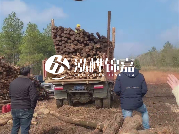 防腐木樁價(jià)格比普通木樁貴多少？防腐木樁有哪些處理方式？