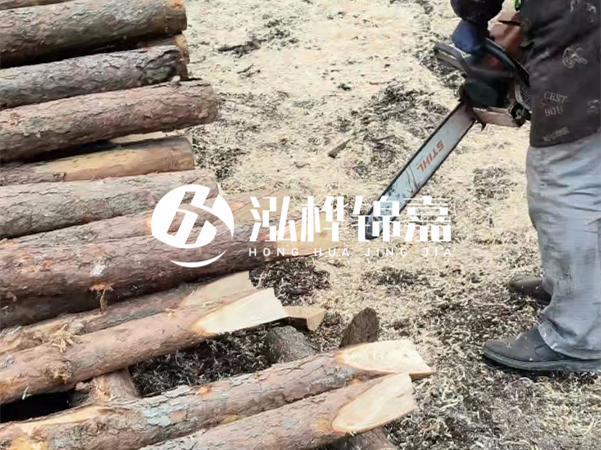 杉木樁批發(fā)廠家哪家好？產(chǎn)地直供渠道推薦！