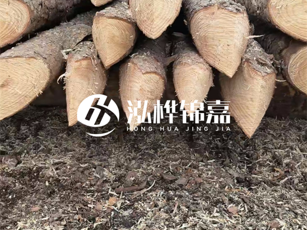 打樁木樁與鋼樁相比有哪些優(yōu)缺點(diǎn)？如何進(jìn)行后期維護(hù)？