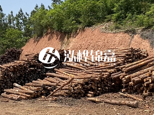 油松打樁木和落葉松打樁木的價(jià)格差異是多少？哪個(gè)性價(jià)比更高？