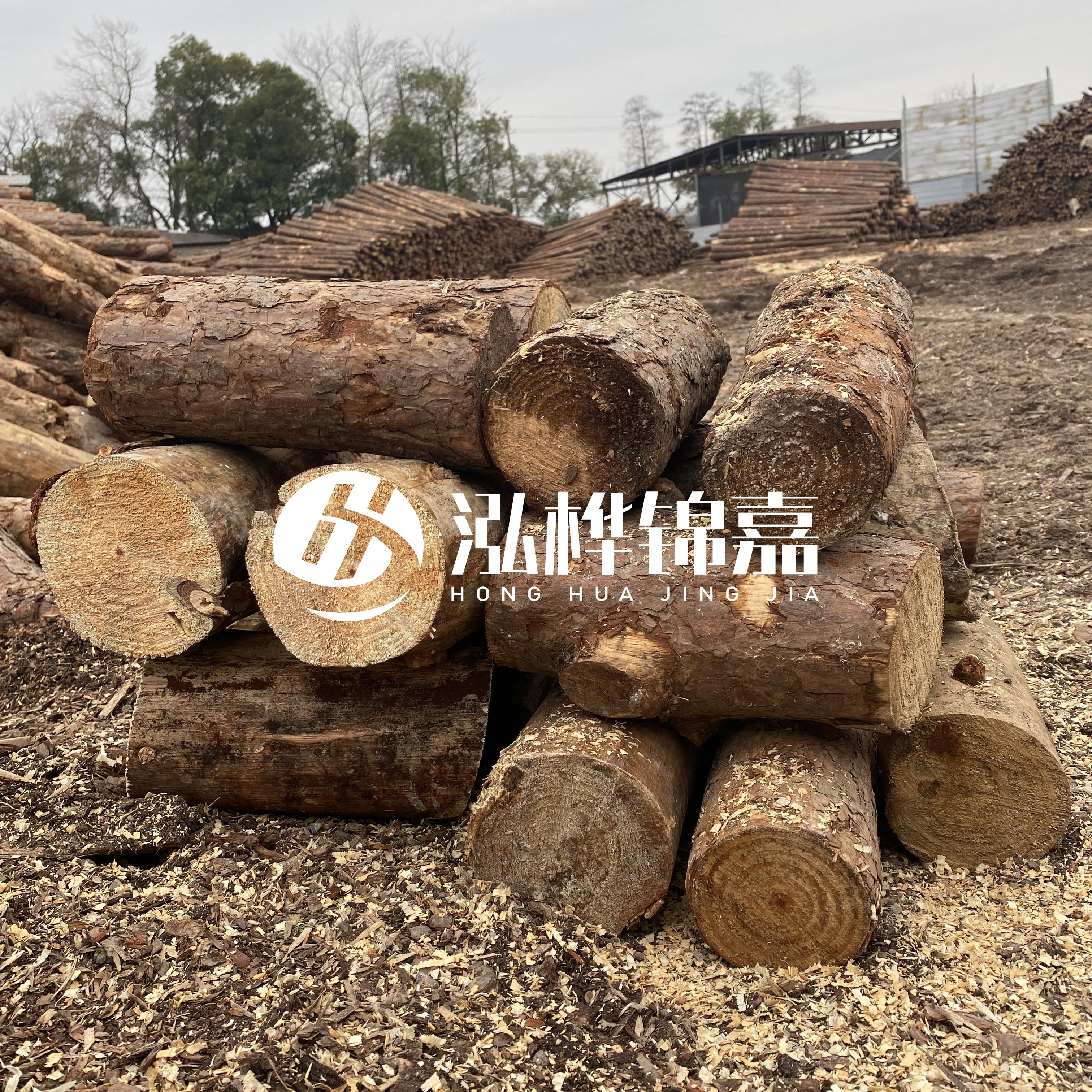 打樁木邊角料能做什么用途？怎么賣的？